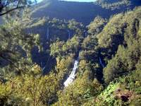 Le 'Voile de la Mari�e' dans le cirque de Salazie
vous pouvez cliquer pour agrandir la photo
	 	copyright : auteur du site Michel Jourdan