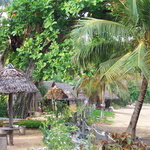 2008-mada--10-nosy-komba 004