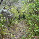 2008 08 gr 1erjour 23
