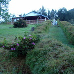 2009-07-14-aurere-dos-dane 05