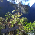 2009-07-14-aurere-dos-dane 20