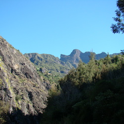 2009