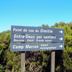 2010