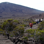 2011-01-transvolcano-enclos-103