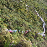 DSC06016