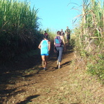 DSC06782