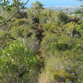 DSC03684