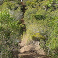 DSC03686