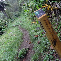 Raid Sud Réunion 2ème étape aux Makes - Trail 18 km