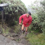 DSC03336 (1717 visites) DSC03336