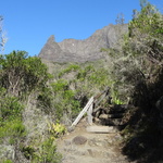 DSC08602