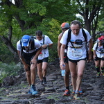 355-DSC_0900