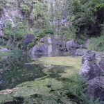 152-DSC03300