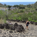 21-DSC06644