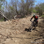 083-DSC07548