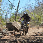 136-DSC_6505