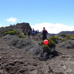 173-DSC08871 (1681 visites) 173-DSC08871