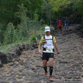 250-DSC_3590