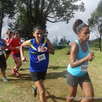 117-DSC05771 (2009 visites) 117-DSC05771