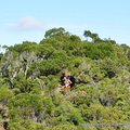 002-DSC_0666