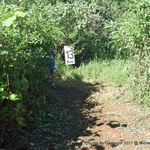 136-DSC_0454