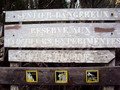 DSC00008