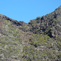 DSC09346