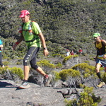 DSC09390
