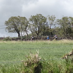 DSC03108