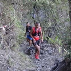 Cimasa 2013