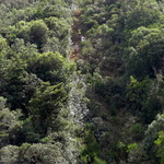 042-DSC09378